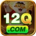 12q Prime v3.3.2